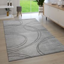 Paco Home - Tapis Salon Poil Ras Aspect 3D Découpe De Contour Fait Main Moderne Monochrome 200x290 cm, Gris