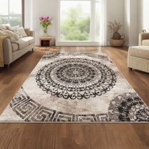 Paco Home Teppich Klassisch Gemustert Kreis Ornamente in Braun Beige Schwarz Meliert 160x230 cm