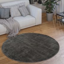 Teppich Rund Wohnzimmer Kurzflor Modern Flauschig Waschbar Einfarbig Rutschfest Anthrazit, 80 cm Rund - Paco Home