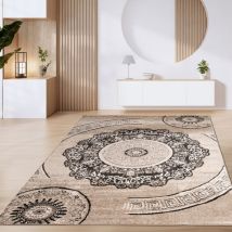 Paco Home Teppich Wohnzimmer Kurzflor Vintage Geometrische Moderne Muster Braun Beige 200x280 cm, Braun 8