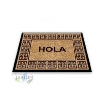Paillasson Exterieur Entree Tapis Entree Interieur Absorbant et Antidérapart 40x60 cm Hello Classic