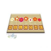 Suinga - Paillasson Exterieur Entree Tapis Entree Interieur Absorbant et Antidérapart 40x60 cm