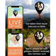 Paj Gps - pet Finder 4G Tracker gsm traceur d'animaux domestiques 1 pc(s)