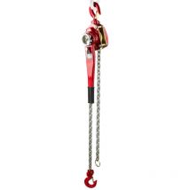 Dema - Palan à chaîne 1,5 t chaine 2 m corps 630 mm cliquet réversible acier