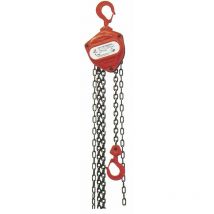 Mw Tools - Palan manuel à chaîne 1,5 tonne 2,5 m HNSJ1525