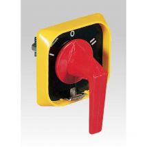 Manovra tipo b1giallo/rossa i-0-ii 40/63a da armadi 295338 - Palazzoli