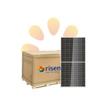Risen Energy - Pallet Placa fotovoltaica Risen perc RSM144-7-450M (31 Unidades)