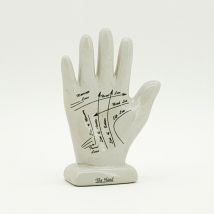 7 Inches Palmistry Hand Ornament - L6 x W8 x H17 cm