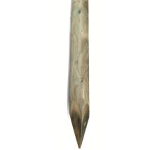 Palo 5x200 Cm Con Punta In Legno Impregnato In Autoclave