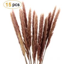 Pampasgras, Naturel Pampasgras Getrocknet Deco Pampas Gras Communis Fleurs sèches bouquet de fleurs pour salon maison Photographie Hotel mariage 60 cm