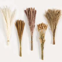 Bluedeer - Pampasgras Trockenblumen Deko, 120 Stück Natürliche Braun Weiß Pampasgras Flauschige Wedel, Lagurus und Schilfblume Getrocknete Blumen für
