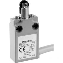 MEM1G12ZD MEM1G12ZD Fine corsa 24 v 5 a Stantuffo ruotabile IP67 1 pz. - Panasonic