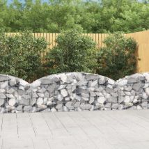 Panier de gabions Mur en gabion Clôture de gabion arqué 200x30x60/80 cm Fer galvanisé 92835