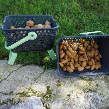 Panier Lot de 2 paniers Kajo 4L Gris / Jaune Pastel