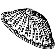Panier vapeur 14cm