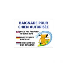 PANNEAU BAIGNADE POUR CHIEN AUTORISEE (H0317) - Adhésif - 630 x 450 mm