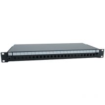 Rs Pro - Panneau de brassage 24 Ports, 1U ( Prix pour 1 )