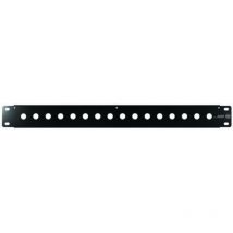 Panneau de montage sur Rack 1U S2Ceb-Groupe Cae, 483 x 88mm, Noir ( Prix pour 1 )