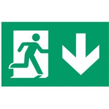 Panneau d'indication de sortie de secours vers le bas compatible avec différentes séries de la marque Normalux IP44 15x9cm