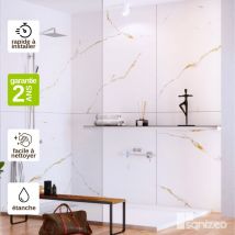 Lot de 2 Panneaux Mural Revêtement Décoratif, L120l1200.4 cm, effet doré, Calacatta GOLD by SANIZÉO