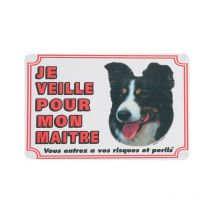 Panneau portail Border Colley. chien. - Flamingo