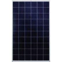 Victron Energy - Panneau photovoltaique 270 Wc polycristallin Victron