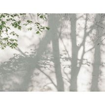 Papier peint vinyle motifs nature – 3,71m x 2,80m – Lessivable, strippable, bonne résistance à la lumière – Livingwalls
