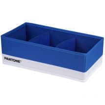 Pantone - Organizer Armadio e Cassetti Salvaspazio, 1 Pezzo, 3 Scomparti Biancheria e Vestiti, Organizer Cassetti Bagno Camera da Letto