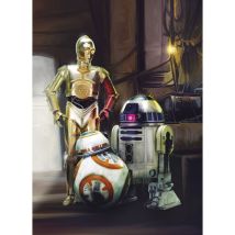 Fototapete Star Wars Three Droids 254 X 184 Cm Fototapete - Komar