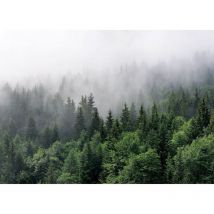 Ag Art - Papier peint Fôret de Sapins dans le brouillard - 375 x 270 cm