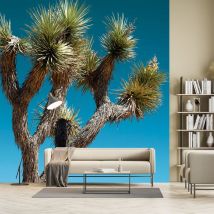 Papier peint jungle cactus geant