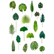 papier peint panoramique feuilles tropicales vert jungle tropicale - ESTAhome