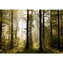 Sanders&sanders - papier peint panoramique paysage boisé vert