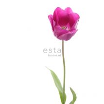 Estahome - papier peint panoramique tulipe rose et vert
