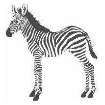 Origin Wallcoverings - papier peint panoramique zèbres noir et blanc