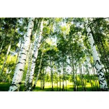 Papier peint panoramique 3D forêt estival | Tapisserie panoramique verte avec arbre & rayon du soleil | Papier peint panoramique cuisine - 384 X 260