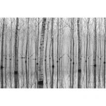 Sanders&sanders - papier peint panoramique arbres gris