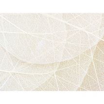 Sanders&sanders - papier peint panoramique feuilles beige et blanc