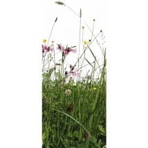 Papier peint panoramique herbe blanc & vert | Tapisserie panoramique fleur des champs pour couloir | Papier peint panoramique salon & cuisine - 280 x