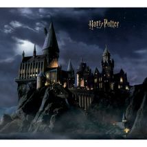 Sanders&sanders - papier peint panoramique Harry Potter Poudlard noir et bleu foncé
