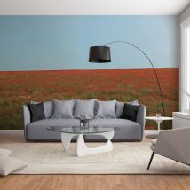 Papier peint intissé 270 cm x 250 cm, décor bohème fleurs séchées authentique, champ de coquelicots avec ciel bleu.