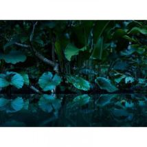 Papier peint panoramique jungle tendance Tapisserie panoramique verte et noire tropicale Papier peint panoramique à motifs palmiers