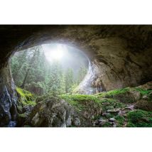 Papier peint panoramique nature vert et gris | Tapisserie panoramique grotte et forêt | Papier peint panoramique paysage pour chambre - 384 X 260 cm