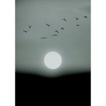 Papier peint panoramique noir et blanc Tapisserie panoramique lune et oiseaux Papiers peints panoramiques gris pour chambre