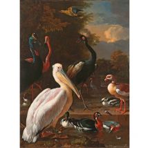 Papier peint panoramique oiseaux effet peinture Tapisserie panoramique oiseaux tropicaux pour couloir Papier peint panoramique pour cage d'escalier