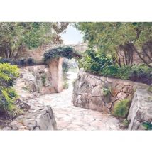 Komar - papier peint panoramique jardin tropical beige et vert
