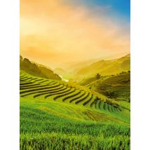 Papier peint panoramique paysage rizières | Tapisserie panoramique nature verte & orange | Papier peint panoramique pour escalier & salon - 192 X 260