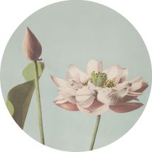 Estahome - papier peint panoramique rond adhésif fleur de lotus vieux rose et bleu gris