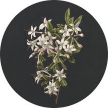 Estahome - papier peint panoramique rond adhésif fleurs rose clair et noir