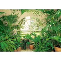 Papier peint panoramique trompe l'oeil fenêtre jardin d'hiver | Tapisserie panoramique nature verte pour salon | Papier peint panoramique plante vert